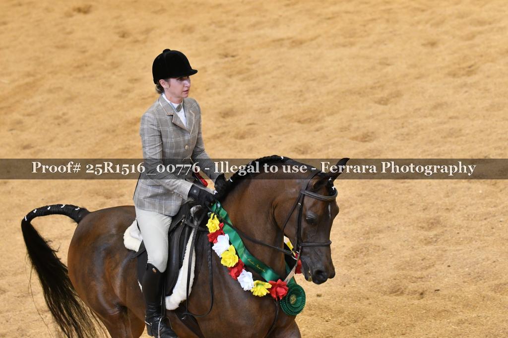 Proof Number 25R1516_00776