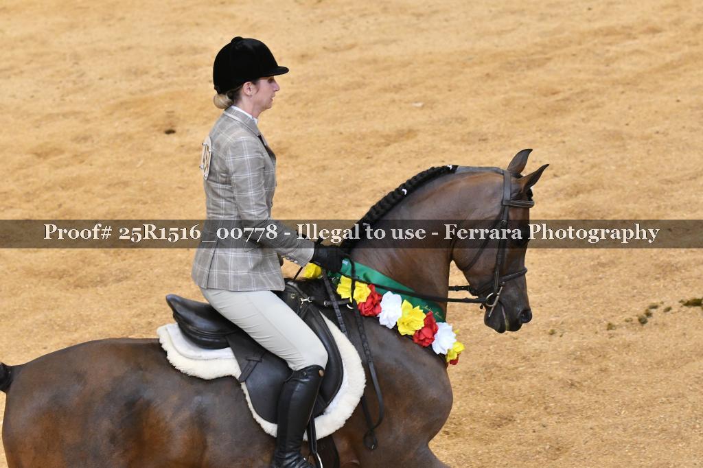 Proof Number 25R1516_00778