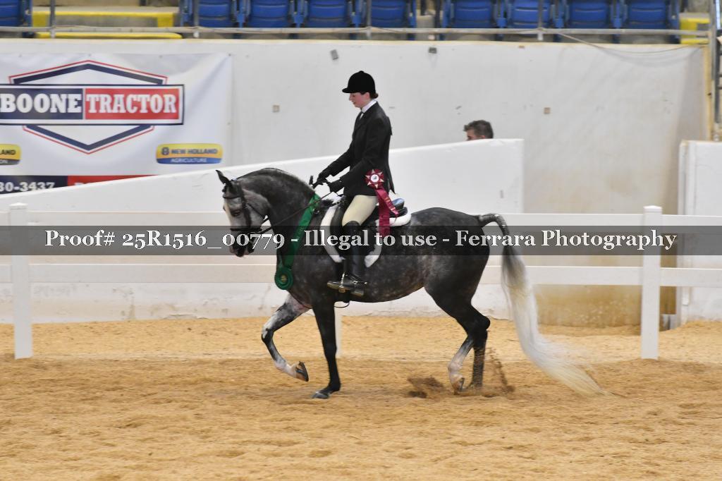 Proof Number 25R1516_00779