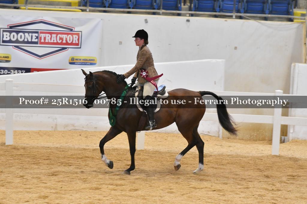 Proof Number 25R1516_00785