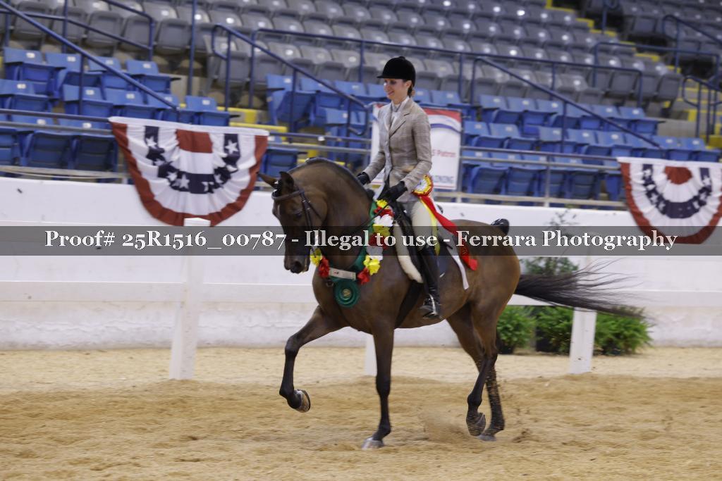 Proof Number 25R1516_00787