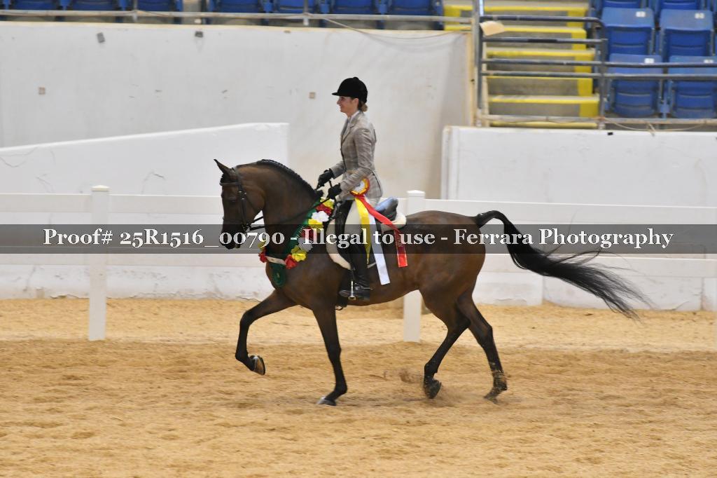 Proof Number 25R1516_00790