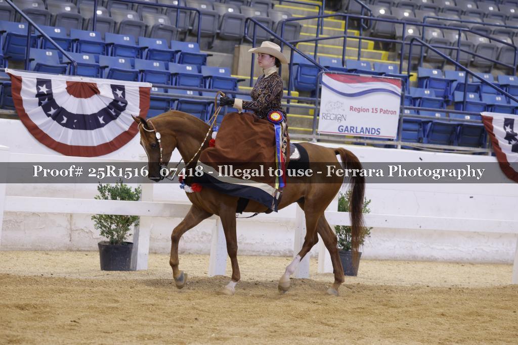 Proof Number 25R1516_07418