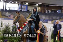 25R1516_07442 thumbnail