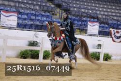 25R1516_07449 thumbnail