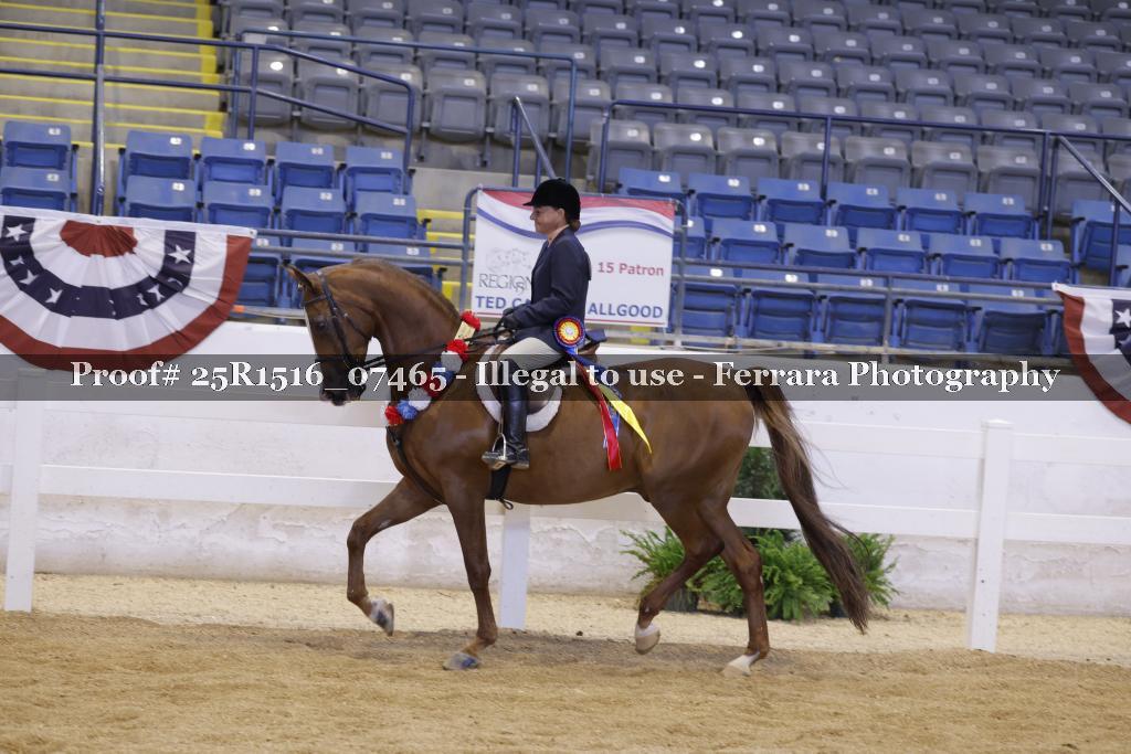 Proof Number 25R1516_07465