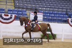 25R1516_07465 thumbnail