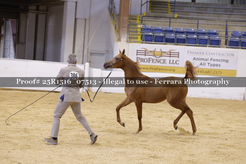 Proof Number 25R1516_07513