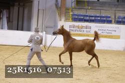 25R1516_07513 thumbnail