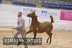 25R1516_07515 thumbnail