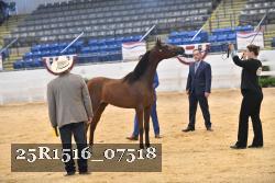 25R1516_07518 thumbnail