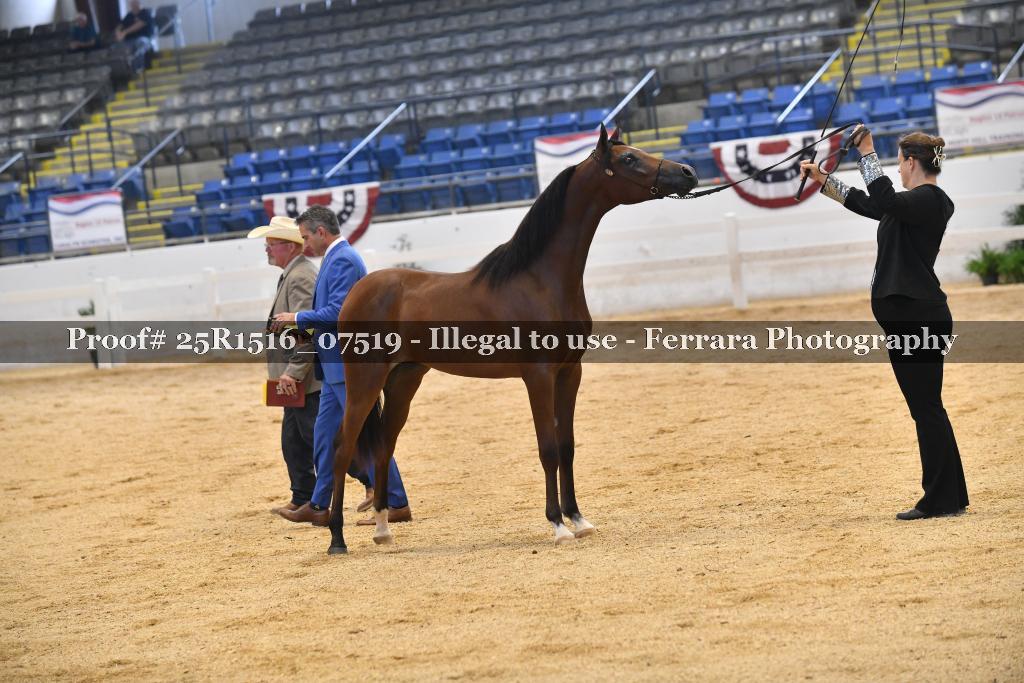 Proof Number 25R1516_07519