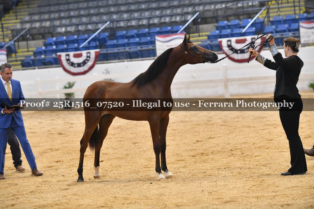 Proof Number 25R1516_07520