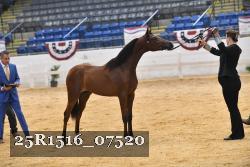25R1516_07520 thumbnail