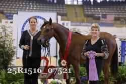 25R1516_07521 thumbnail