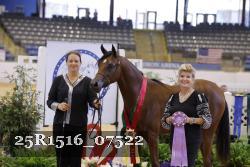 25R1516_07522 thumbnail