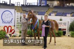 25R1516_07523 thumbnail