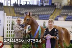 25R1516_07524 thumbnail