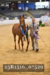 25R1516_07529 thumbnail