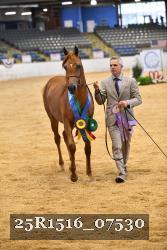 25R1516_07530 thumbnail
