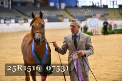 25R1516_07531 thumbnail