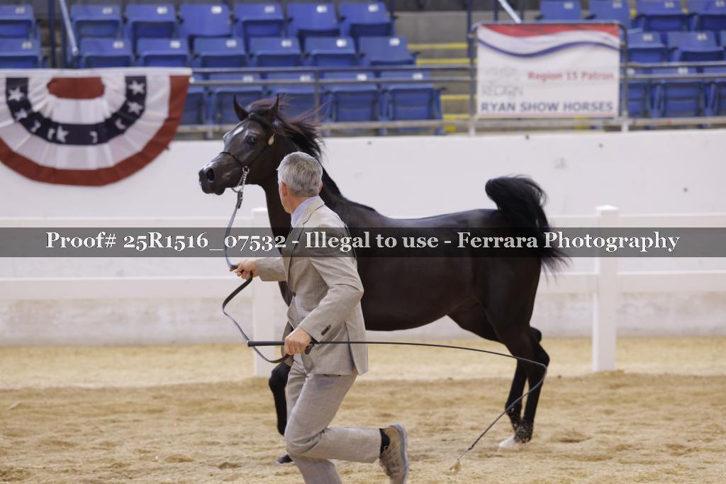 Proof Number 25R1516_07532