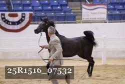 25R1516_07532 thumbnail