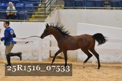 25R1516_07533 thumbnail