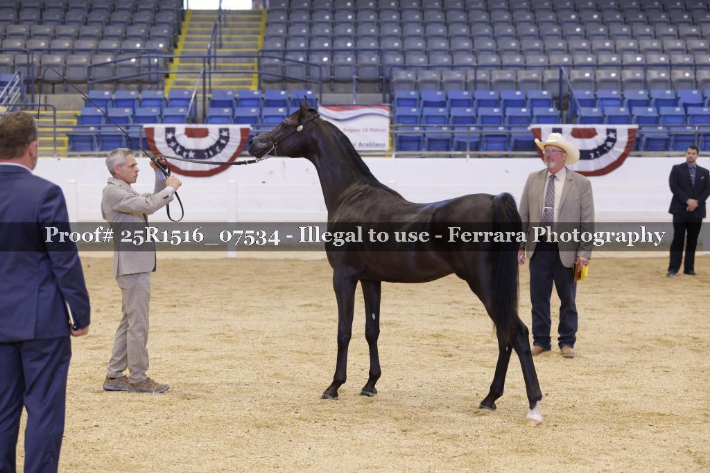 Proof Number 25R1516_07534