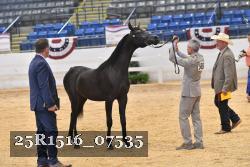25R1516_07535 thumbnail