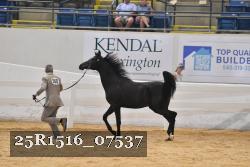 25R1516_07537 thumbnail