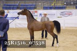 25R1516_07538 thumbnail