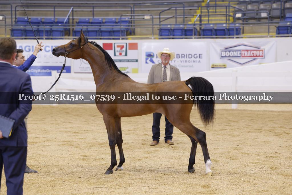 Proof Number 25R1516_07539