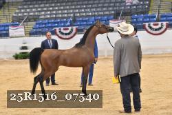 25R1516_07540 thumbnail