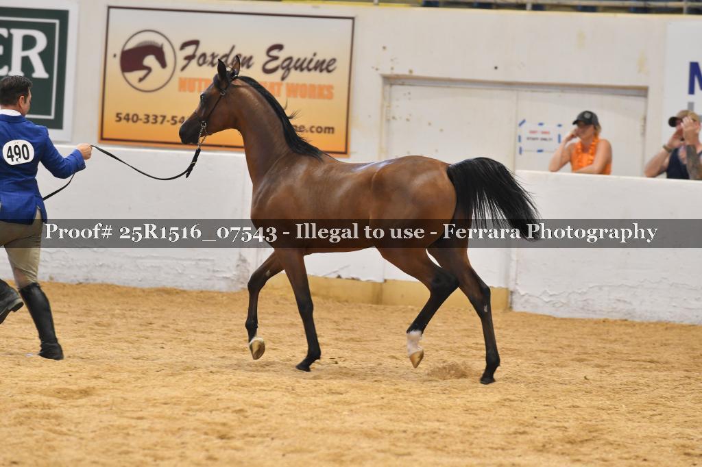 Proof Number 25R1516_07543