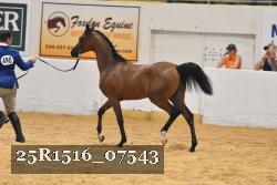 25R1516_07543 thumbnail