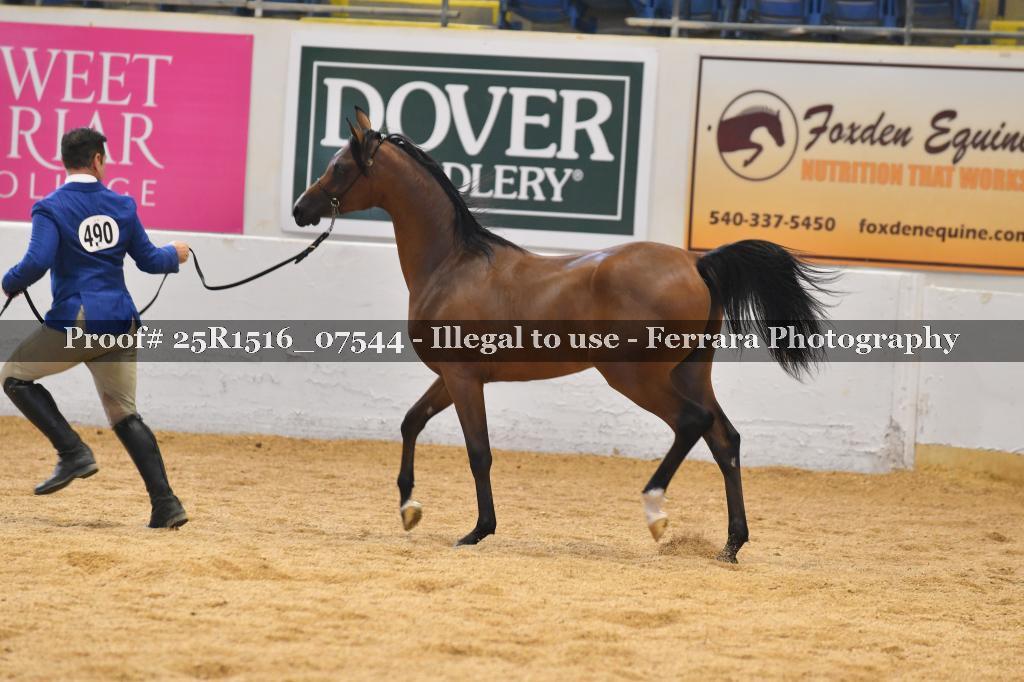 Proof Number 25R1516_07544
