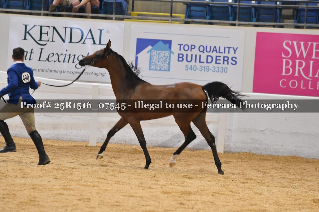 Proof Number 25R1516_07545