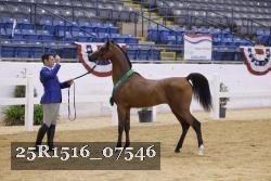 25R1516_07546 thumbnail
