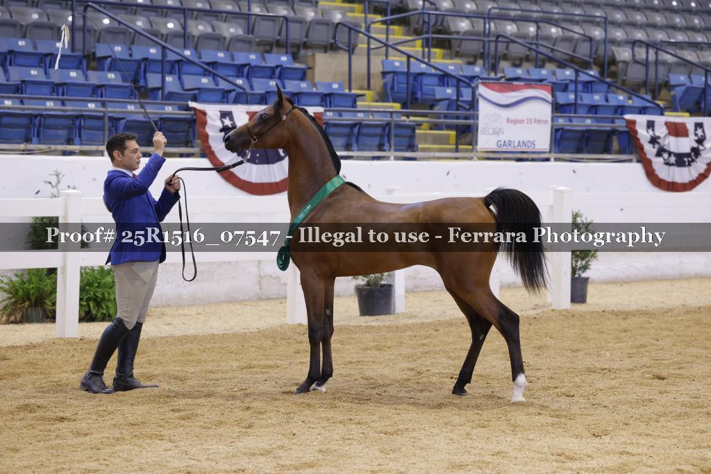 Proof Number 25R1516_07547