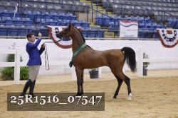 25R1516_07547 thumbnail