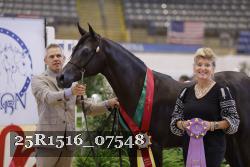 25R1516_07548 thumbnail