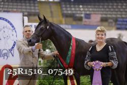 25R1516_07549 thumbnail