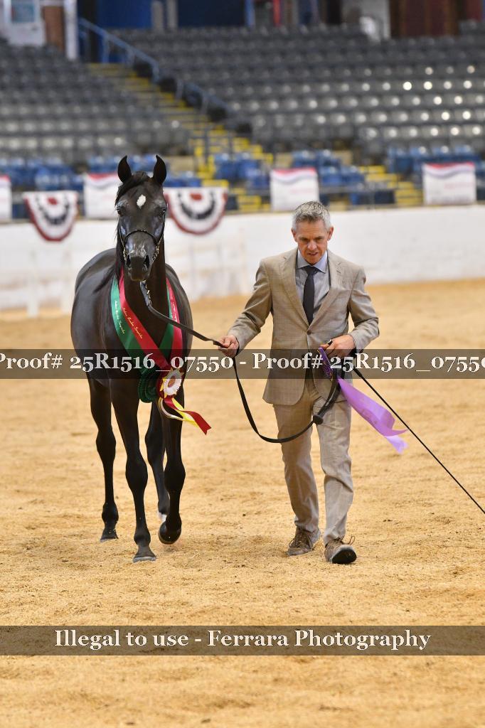 Proof Number 25R1516_07550