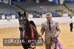 25R1516_07551 thumbnail