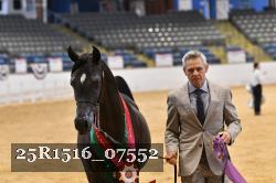 25R1516_07552 thumbnail