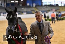 25R1516_07553 thumbnail