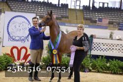 25R1516_07554 thumbnail