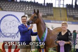 25R1516_07556 thumbnail