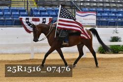 25R1516_07476 thumbnail